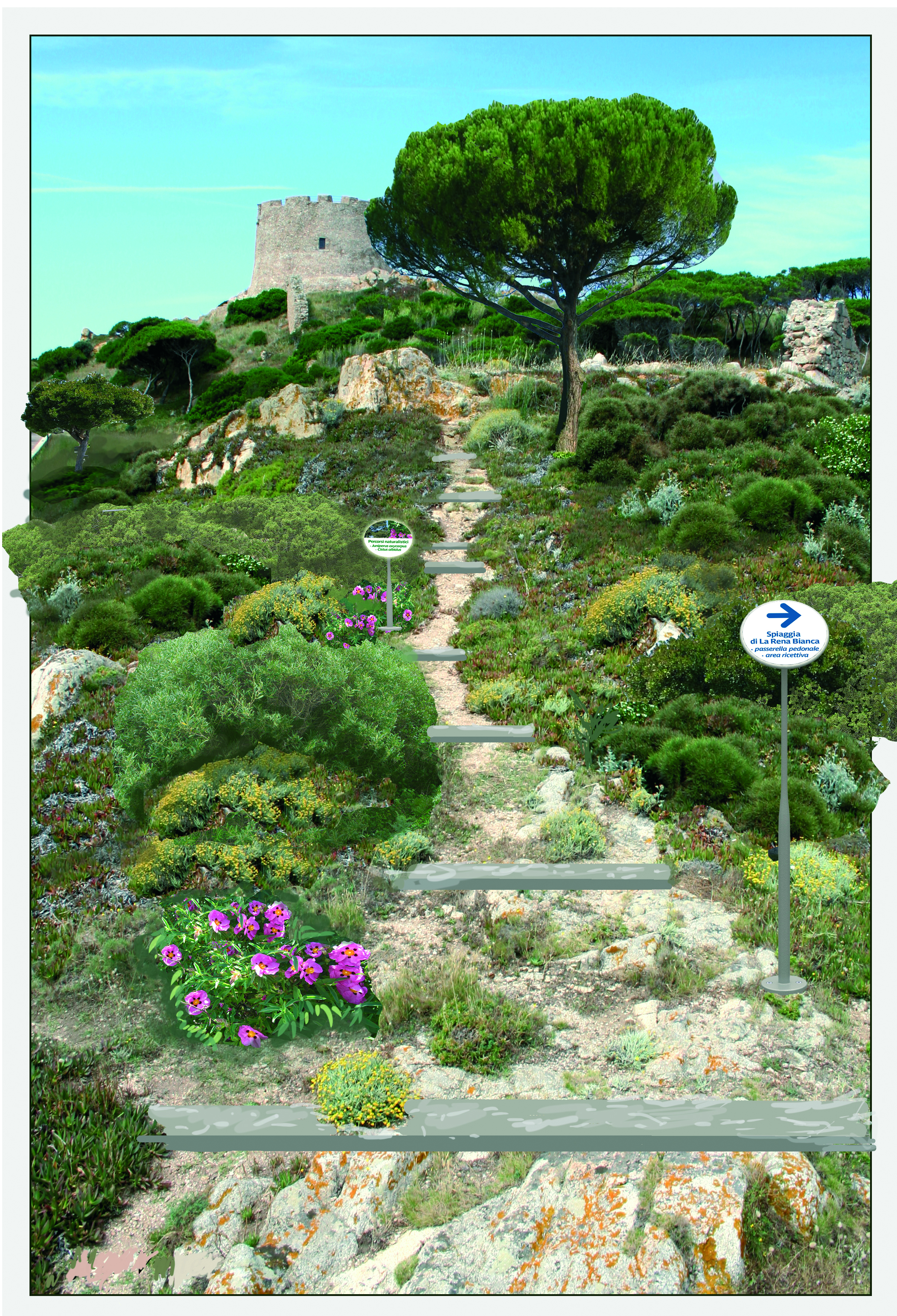 Projet proposé